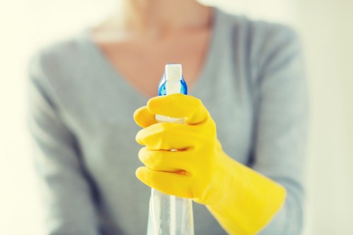 Professional cleaning staff working in a commercial office