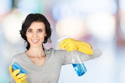 Professional carpet cleaning equipment in a W10 home