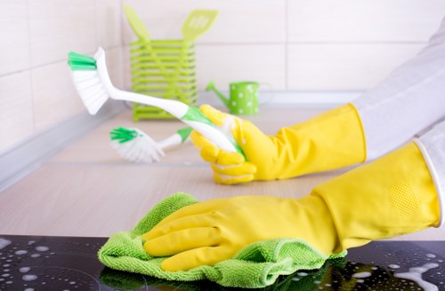 Stain removal and carpet refresh service in W10