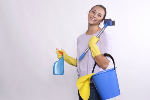 Deep cleaning bathroom fixtures during tenancy cleaning in W10