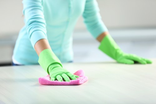 Residential carpet cleaning in W10 for rental and family homes