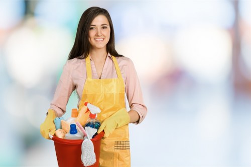 Safe Carpetcleaning W10 payment options at checkout