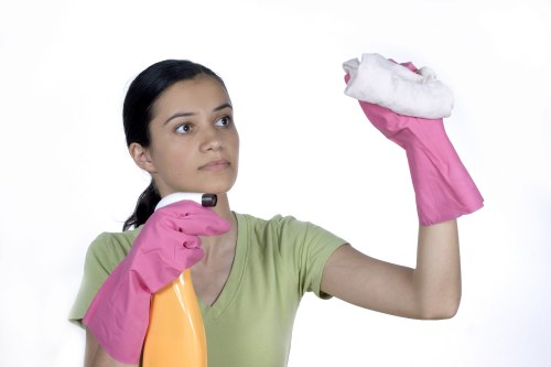 Cleaner in W10 sanitizing a bright kitchen countertop